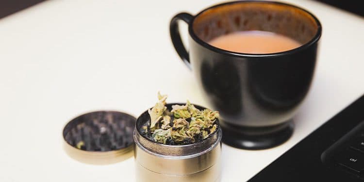 Wake Up With These 6 Strains Wake Up With These 6 Strains