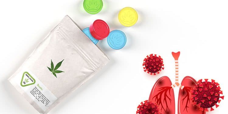 COVID-19 Lung Safety: Non-Smoked Ways to Use Medical Marijuana COVID-19 Lung Safety: Non-Smoked Ways to Use Medical Marijuana