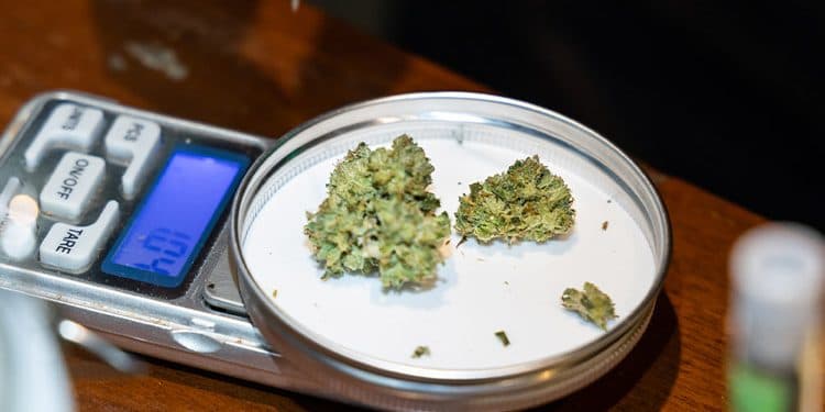 The Importance of Dosage Control When Using Marijuana Products The Importance of Dosage Control When Using Marijuana Products