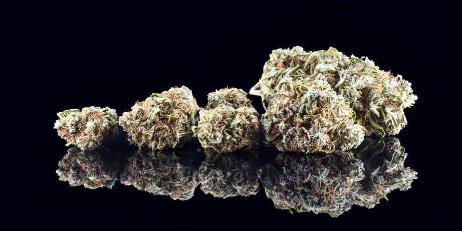 The Hottest Cannabis Strains to Try in 2019 The Hottest Cannabis Strains to Try in 2019