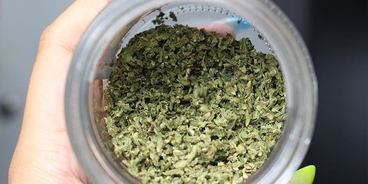 The Science Behind Delta-8-THC The Science Behind Delta-8-THC