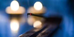 Cannabis Smell In Your Home? Here’s How to Get Rid of It! Cannabis Smell In Your Home? Here’s How to Get Rid of It!