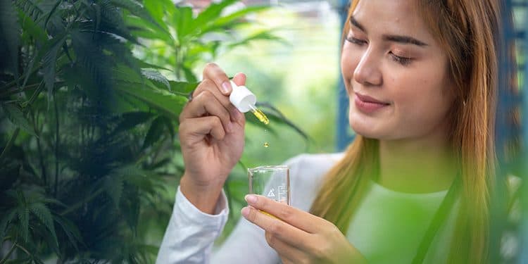 The Rising Popularity of Microdosing Marijuana: Benefits and Considerations The Rising Popularity of Microdosing Marijuana: Benefits and Considerations