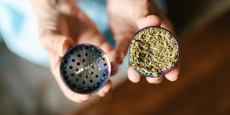 How To: Curing Marijuana Buds How To: Curing Marijuana Buds