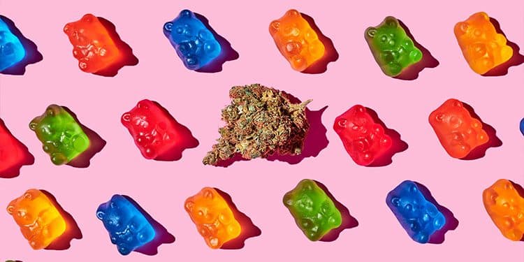 How To: Recovery After Edibles How To: Recovery After Edibles