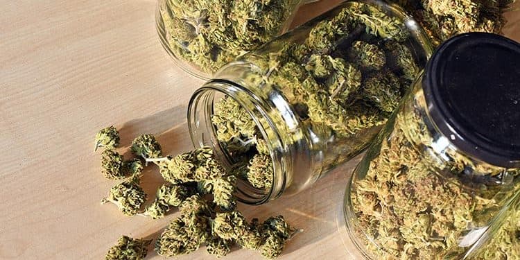 Storage Tips: How to Keep Your Medical Cannabis Fresh Storage Tips: How to Keep Your Medical Cannabis Fresh