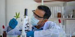 The Importance of Lab Testing in Ensuring Cannabis Quality and Safety The Importance of Lab Testing in Ensuring Cannabis Quality and Safety