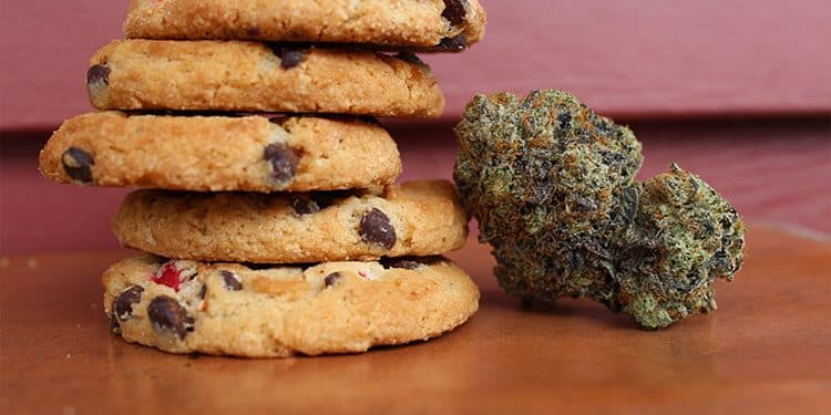 Your Guide to Edibles and Dosages: Enjoy Cannabis in All Its Forms! Your Guide to Edibles and Dosages: Enjoy Cannabis in All Its Forms!