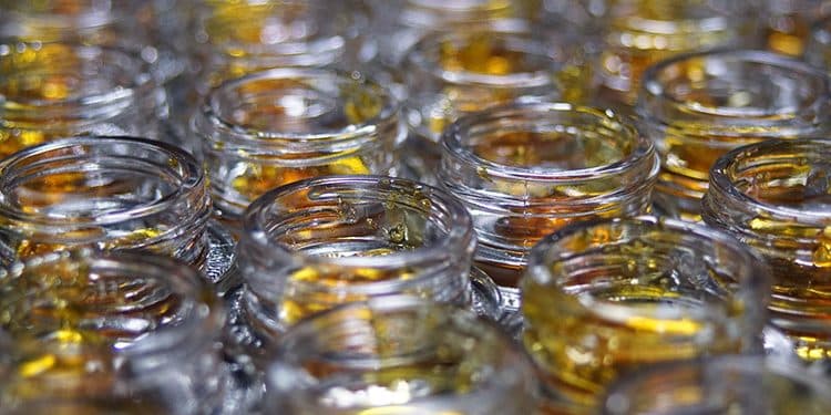 Live Resin Cannabis Concentrates Live Resin Cannabis Concentrates