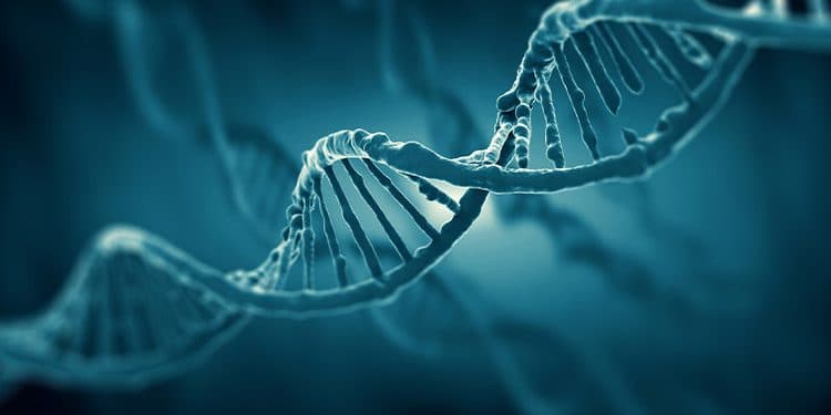 Can Your Genes Influence Your Response To Cannabis? Can Your Genes Influence Your Response To Cannabis?