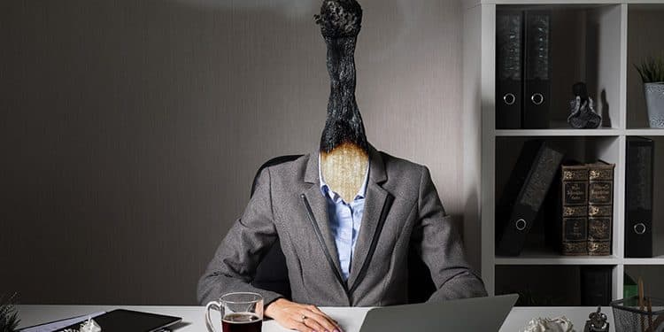 How CBD Can Help Reduce Burnout How CBD Can Help Reduce Burnout