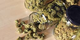 Instructions On How To Properly Store Your Weed Instructions On How To Properly Store Your Weed