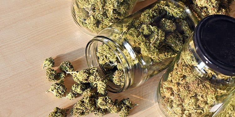 Instructions On How To Properly Store Your Weed Instructions On How To Properly Store Your Weed