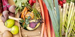 Marijuana and Nutrition: Exploring the Role of Cannabis in a Healthy Diet Marijuana and Nutrition: Exploring the Role of Cannabis in a Healthy Diet