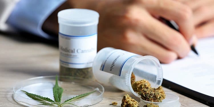 Arizona Doubles its Consumption of Medical Marijuana in Only 2 Years Arizona Doubles its Consumption of Medical Marijuana in Only 2 Years