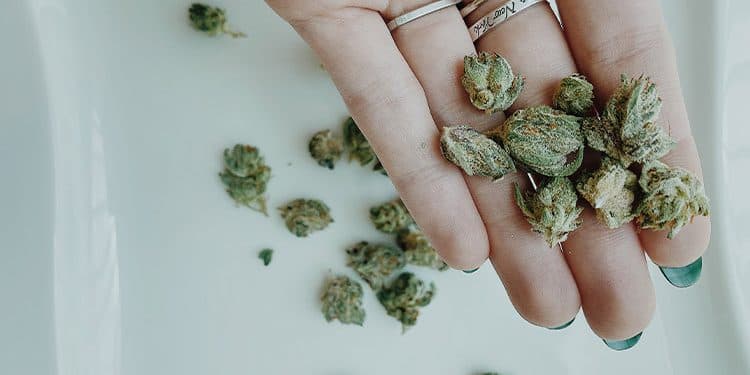 Required Testing Could Lead to Medical Marijuana Shortage in Arizona Required Testing Could Lead to Medical Marijuana Shortage in Arizona