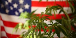 Americans and Marijuana: Fact vs. Fiction Americans and Marijuana: Fact vs. Fiction