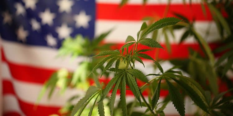 Americans and Marijuana: Fact vs. Fiction Americans and Marijuana: Fact vs. Fiction