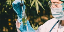 Understanding Its Health Benefits Understanding Its Health Benefits