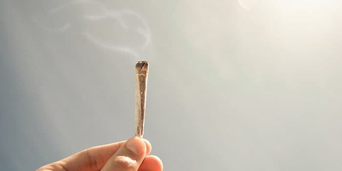 Top Strains for Day Time Smoke Sessions Top Strains for Day Time Smoke Sessions