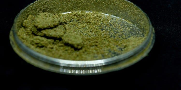 Kief: What Is It? Kief: What Is It?