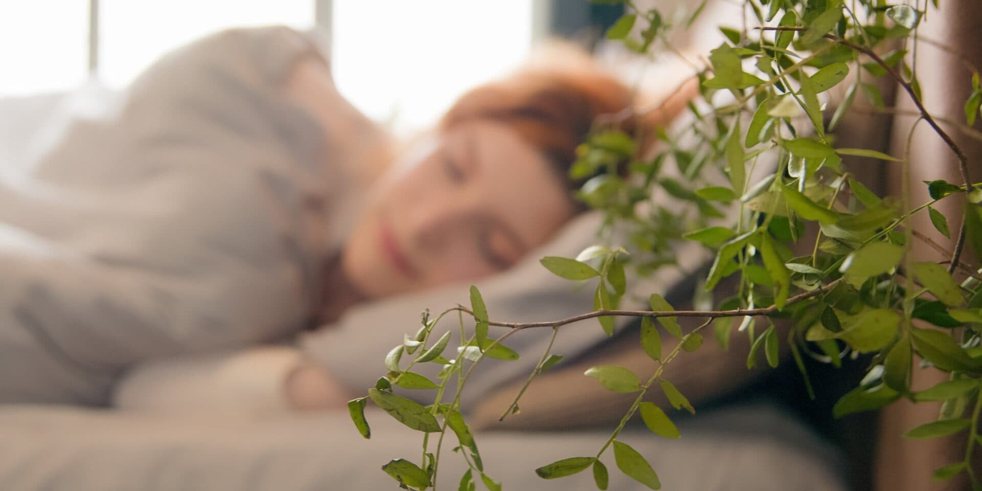 Marijuana and Dreams: Understanding the Impact of Cannabis on Sleep Patterns and Dream Recall Marijuana and Dreams: Understanding the Impact of Cannabis on Sleep Patterns and Dream Recall