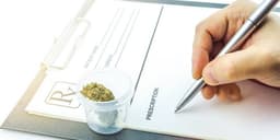 Exploring Its Potential in Treating Chronic Pain Exploring Its Potential in Treating Chronic Pain