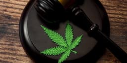 Arizona State Supreme Court Rules to Keep Marijuana Legalization on November Ballot Arizona State Supreme Court Rules to Keep Marijuana Legalization on November Ballot