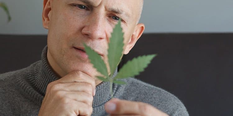 Why Do Some People Experience Paranoia With Cannabis? Why Do Some People Experience Paranoia With Cannabis?