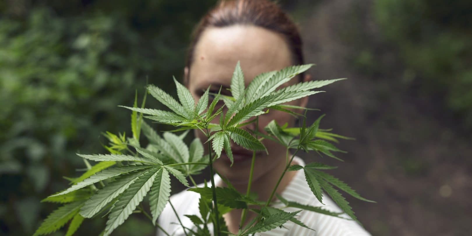 Understanding Marijuana Tolerance: How It Develops and What It Means Understanding Marijuana Tolerance: How It Develops and What It Means