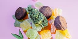 Beginner's Guide to Consuming Cannabis-Infused Foods Beginner's Guide to Consuming Cannabis-Infused Foods