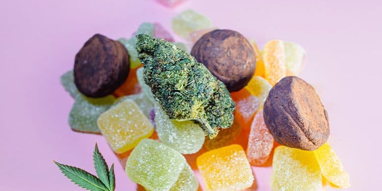 Beginner's Guide to Consuming Cannabis-Infused Foods Beginner's Guide to Consuming Cannabis-Infused Foods