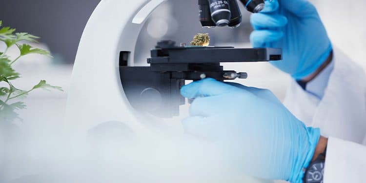 Emerging Trends and Technologies in the Cannabis Industry Emerging Trends and Technologies in the Cannabis Industry